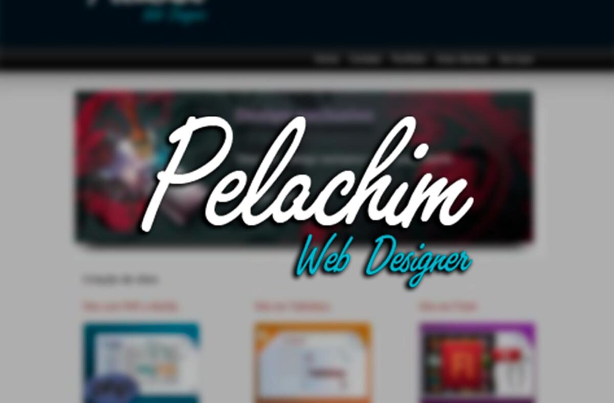 2º Portfólio Pelachim Design